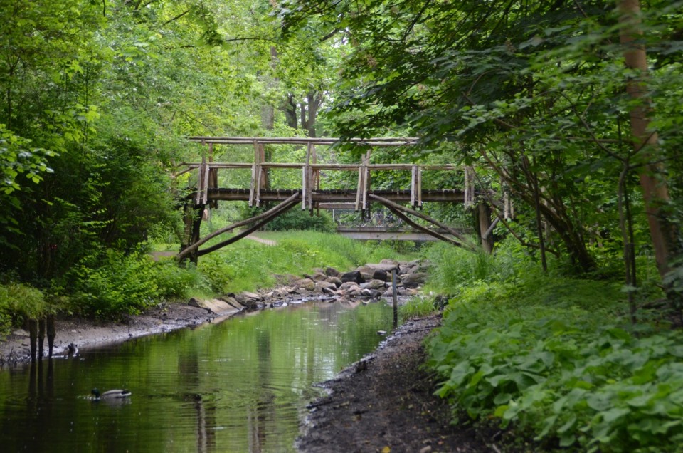 Kleiner Spreewald-Park - Ausflugsziele Brandenburg • Ab Ins Gruene