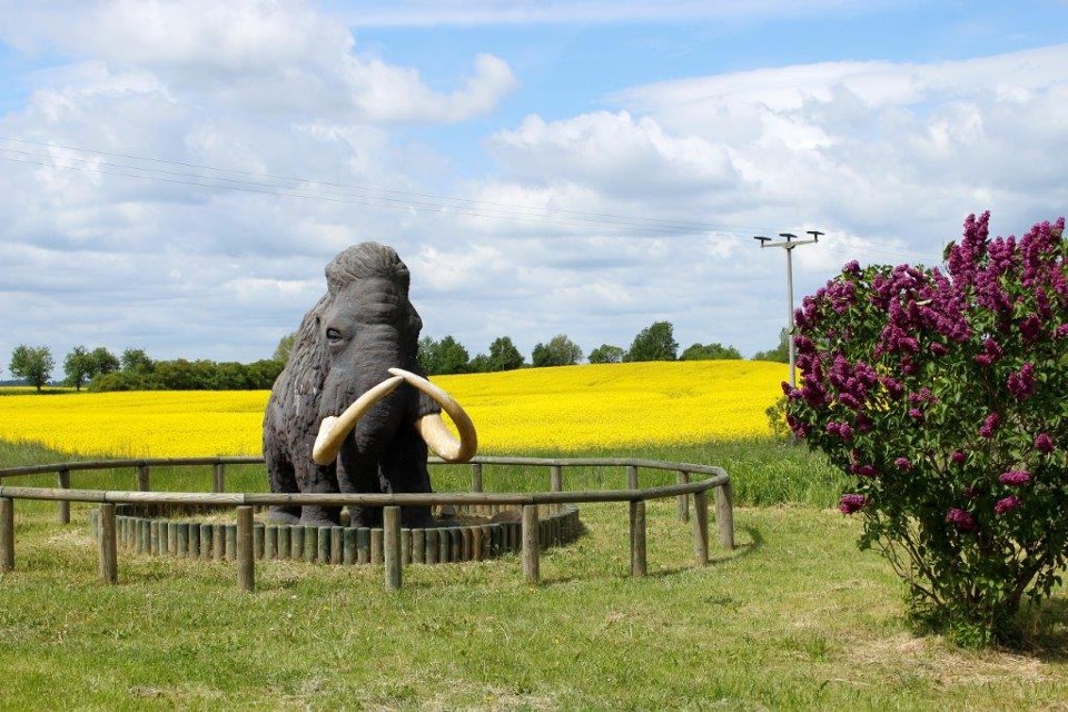 Geopark Groß Ziethen Ausflugsziele Brandenburg • Ab Ins